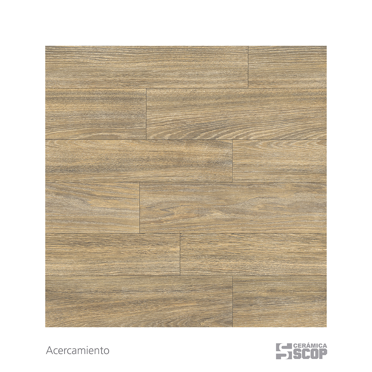 Ceramica Scop - Pino Beige - 50x50